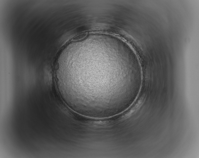 X0000101991401200807251216