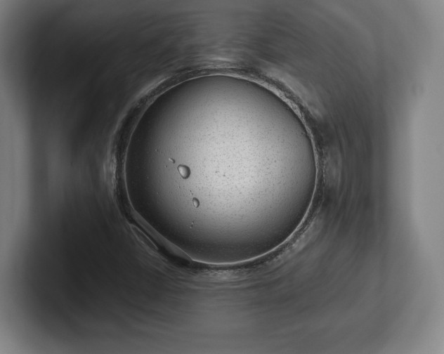 X0000101991402200807251216