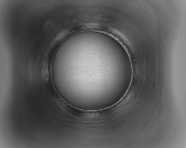 X0000101991403200807251217