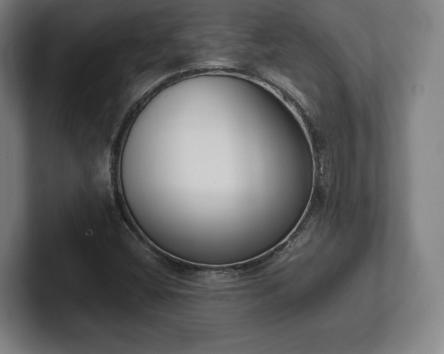 X0000101991404200807251217