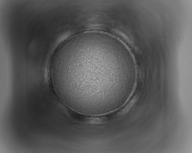 X0000101991405200807251217