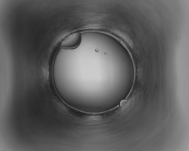 X0000101991406200807251217
