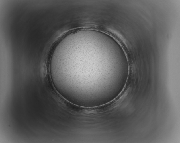 X0000101991407200807251217