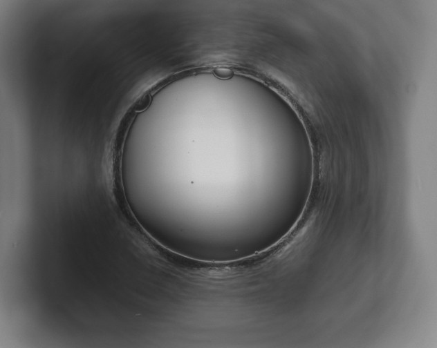 X0000101991410200807251217