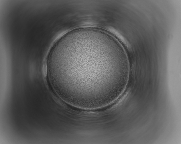 X0000101991413200807251217