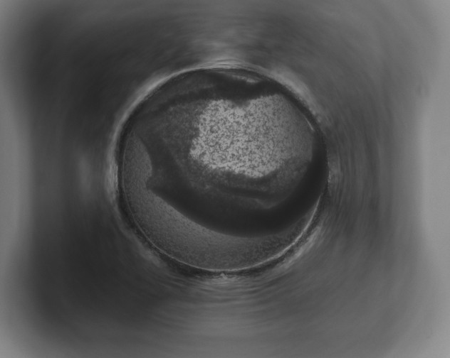 X0000101991414200807251217
