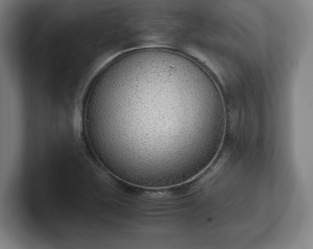 X0000101991415200807251217