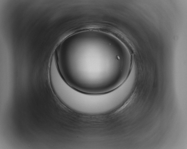 X0000101991417200807251217