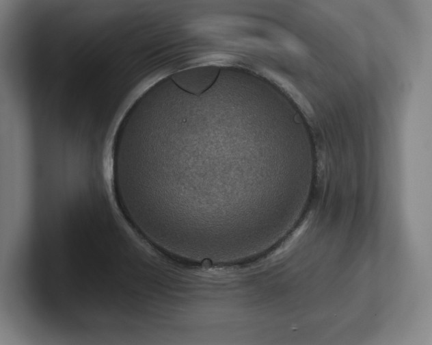 X0000101991418200807251217