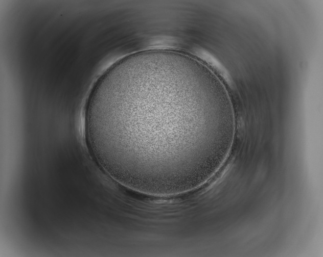 X0000101991419200807251217