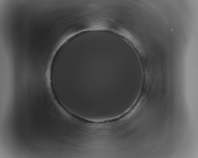 X0000101991422200807251217