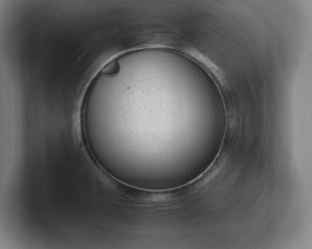 X0000101991423200807251217