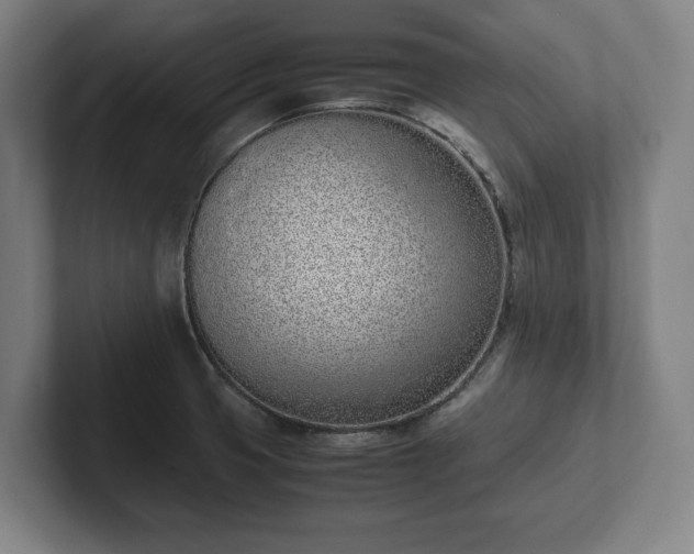 X0000101991425200807251217