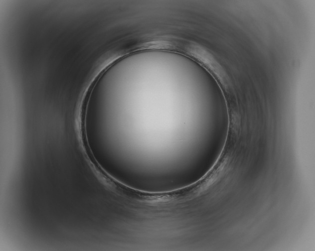 X0000101991426200807251217