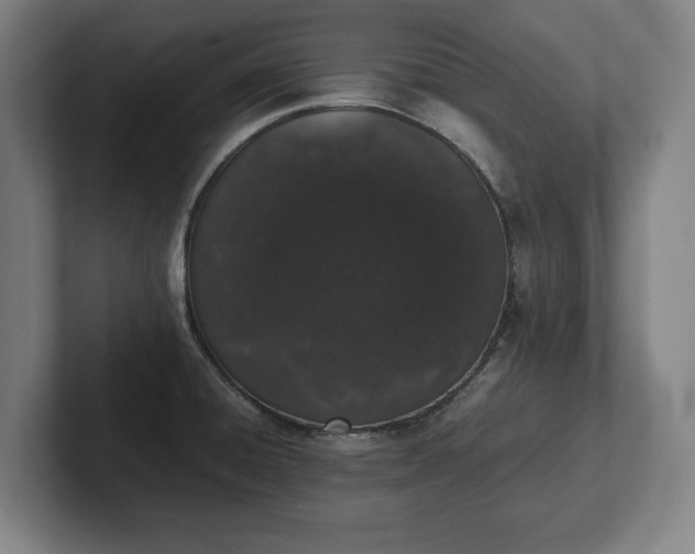 X0000101991428200807251217