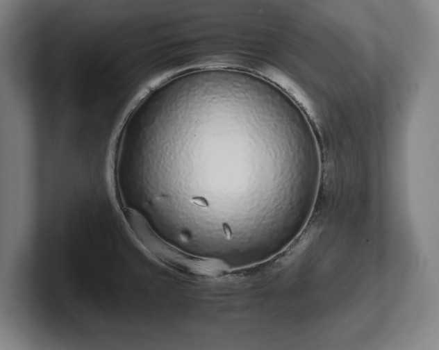 X0000101991429200807251217