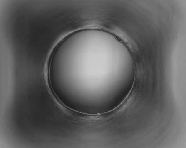 X0000101991430200807251217