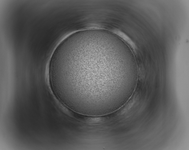 X0000101991431200807251217