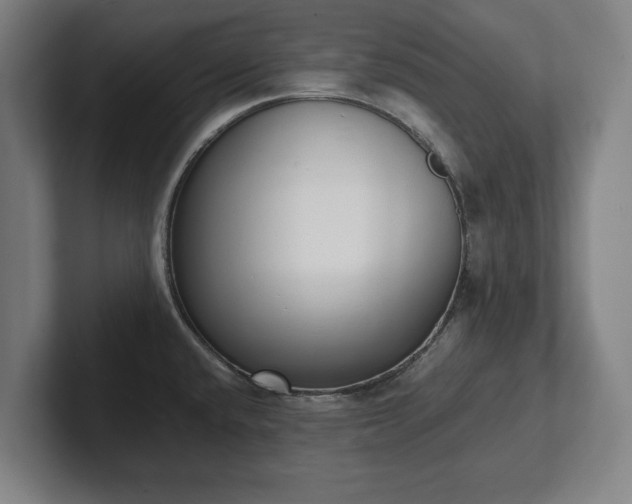 X0000101991432200807251217