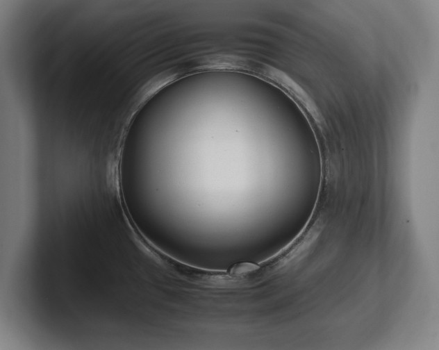 X0000101991433200807251217