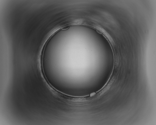 X0000101991434200807251217