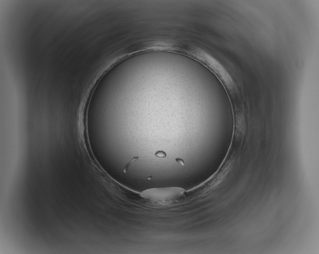 X0000101991435200807251217
