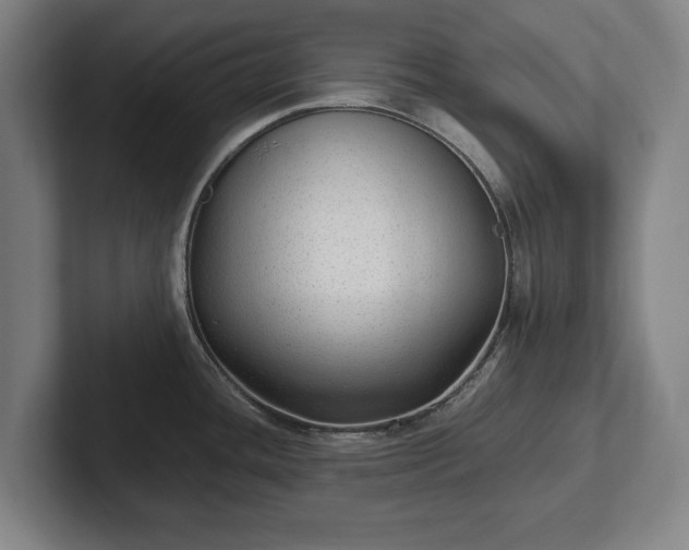 X0000101991436200807251217