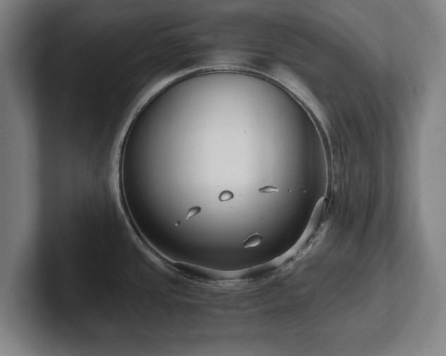 X0000101991437200807251217