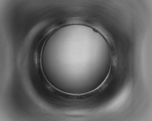X0000101991438200807251217