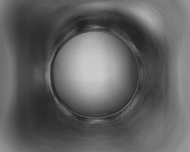 X0000101991439200807251217