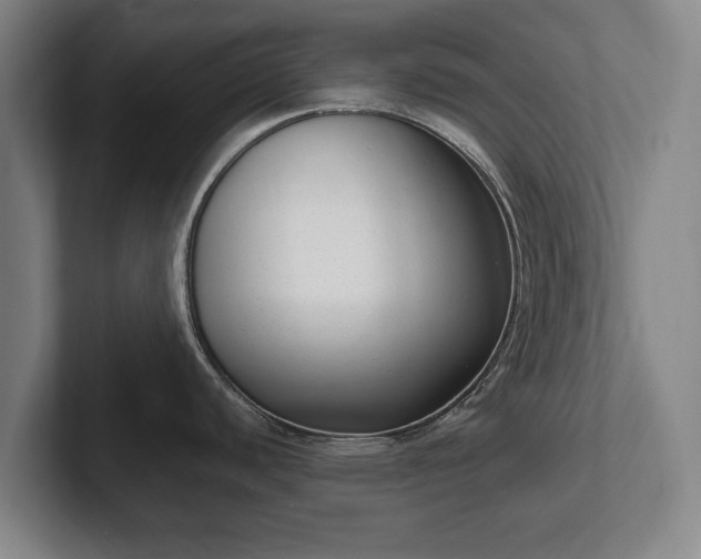 X0000101991440200807251217
