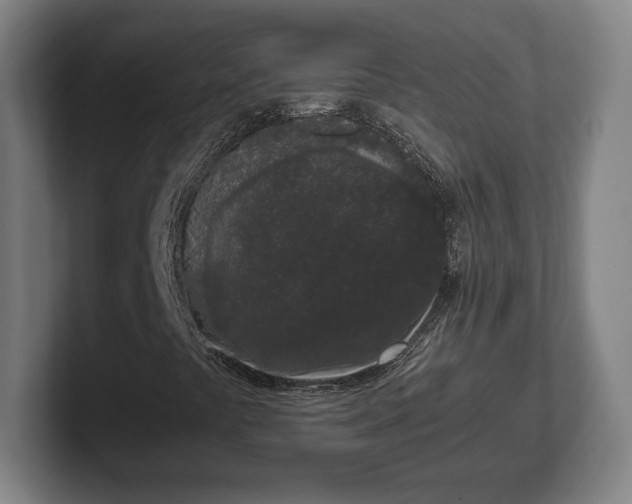 X0000101991441200807251216