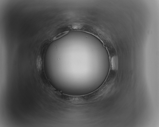 X0000101991443200807251216