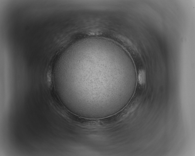 X0000101991444200807251216