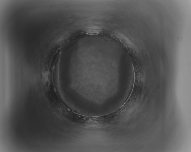 X0000101991445200807251216
