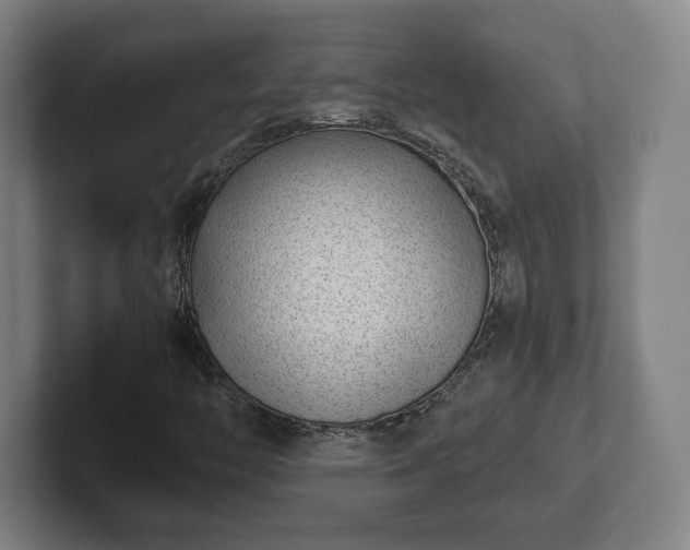 X0000101991446200807251216