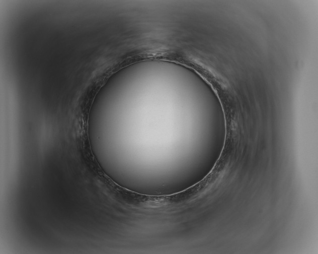 X0000101991447200807251216