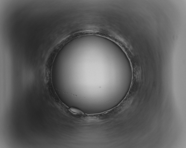 X0000101991448200807251216