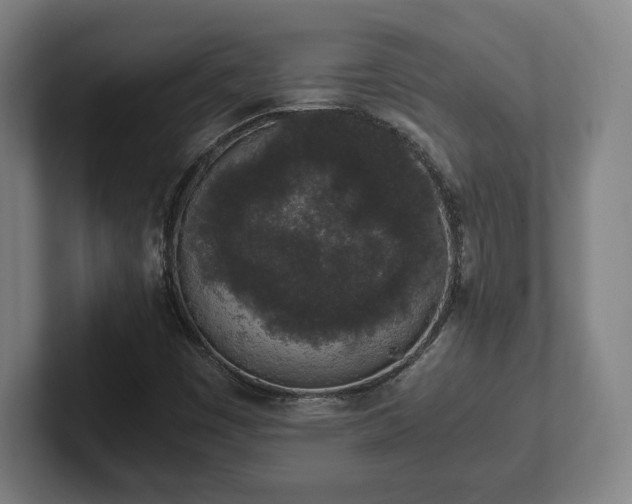 X0000101991449200807251216