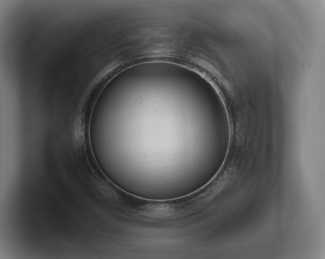 X0000101991450200807251216