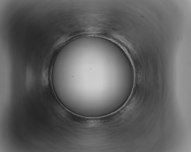 X0000101991451200807251216