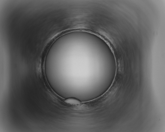 X0000101991452200807251216