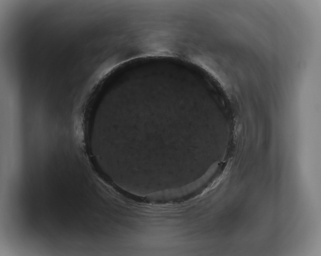 X0000101991455200807251216