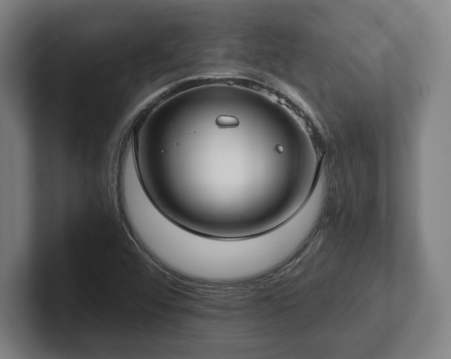 X0000101991456200807251216