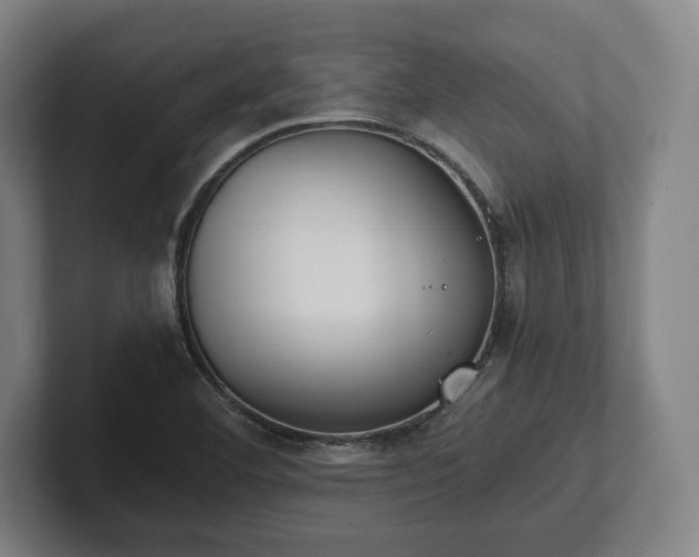 X0000101991460200807251216