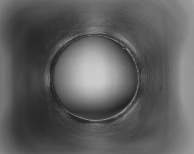 X0000101991461200807251216
