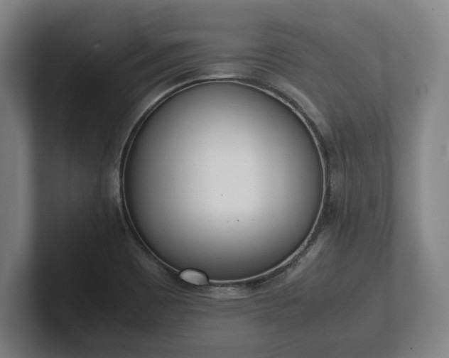 X0000101991465200807251216