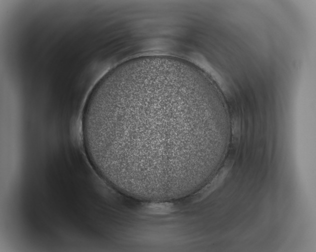 X0000101991466200807251216