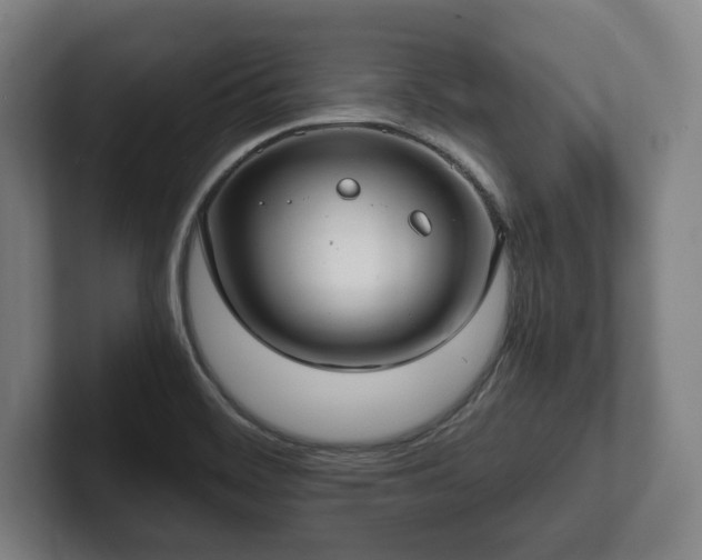 X0000101991468200807251216
