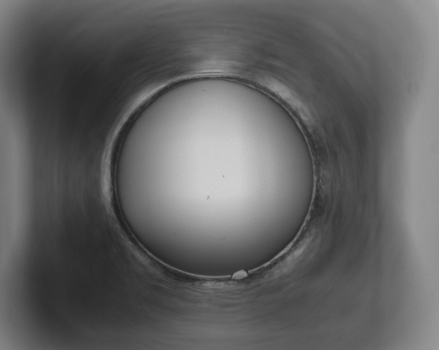 X0000101991469200807251216
